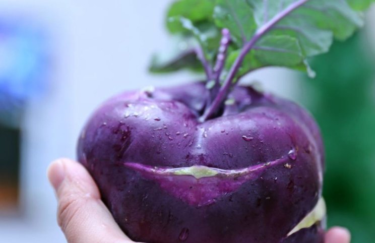 Kohlrabi is good for eye health